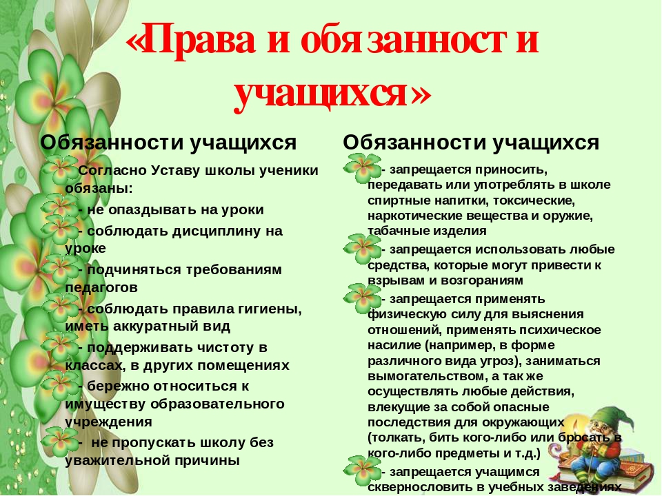 Правила обучения. Права и обязанности учащегося Правила обучения. Права и обязанности учащегося